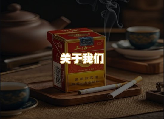 关于我们